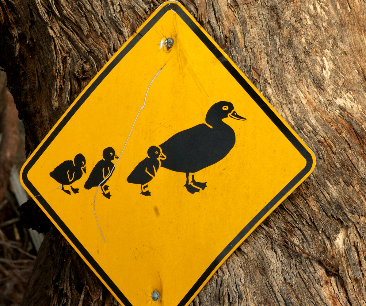 Safety Culture: Shaping Work Environment to Keep Employees Safe