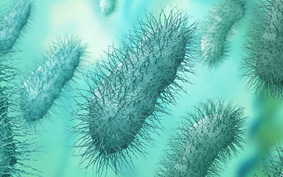 legionnaires, disease, hvac, reopening, covid, covid19, water, stagnant, risk